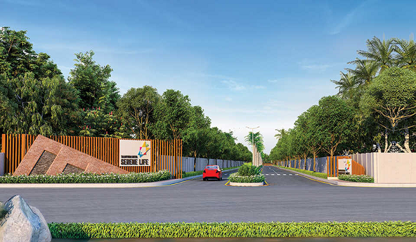 Featured Image of Big Banyan Tree