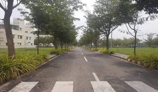 Featured Image of Sattva Pipal Tree